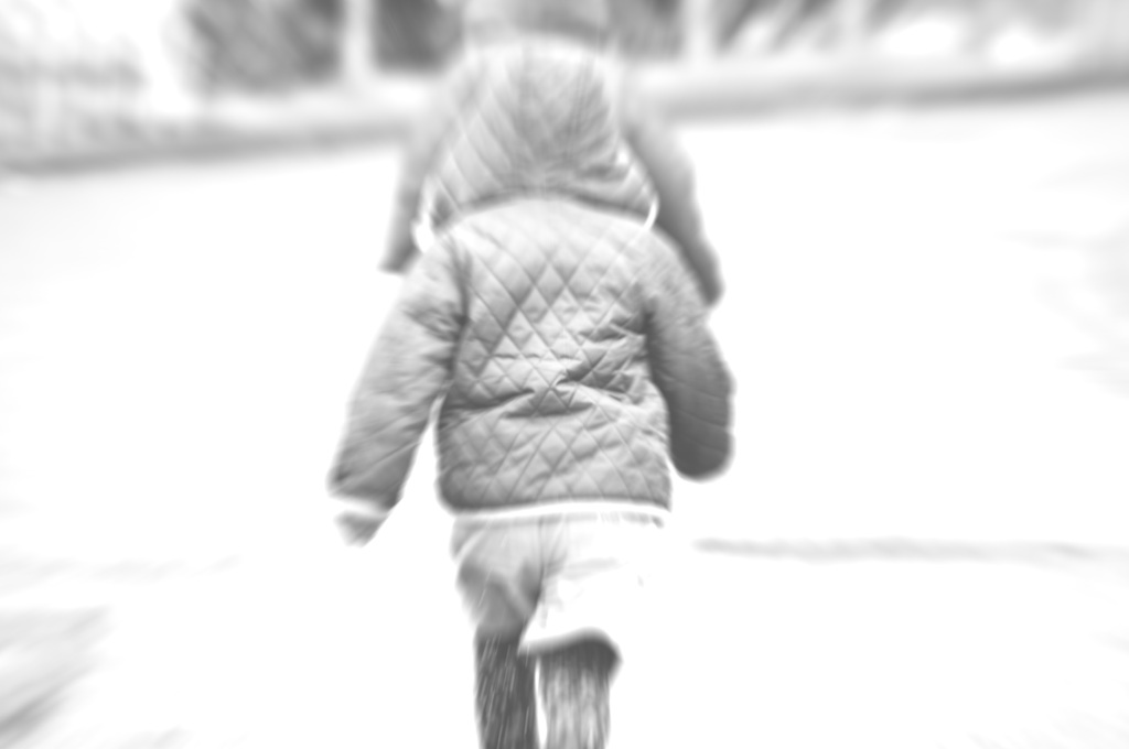 息子の背中