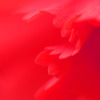赤い揺らめき