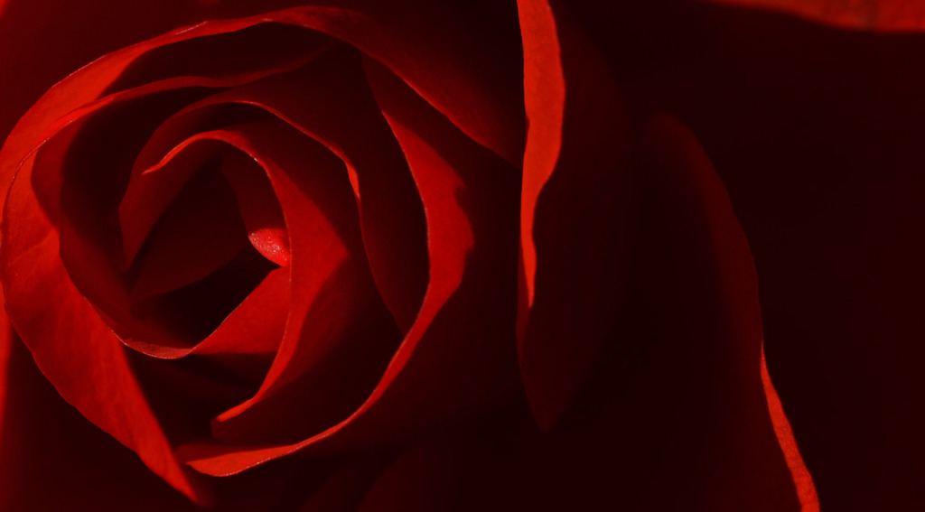 RED　２