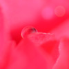 消えいりそう。。。