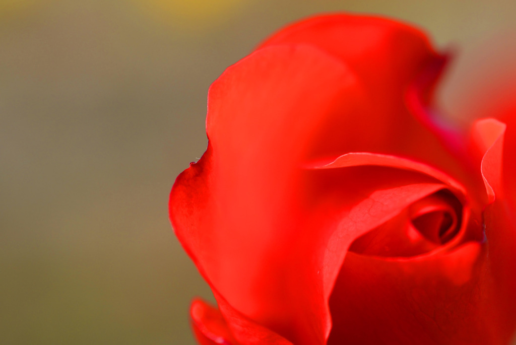 先日の別バージョン