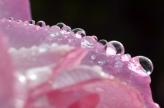 みんなならんでー！