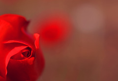 先日の別バージョン