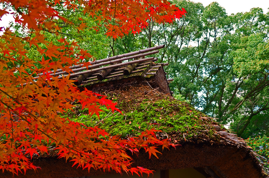 広島市縮景園
