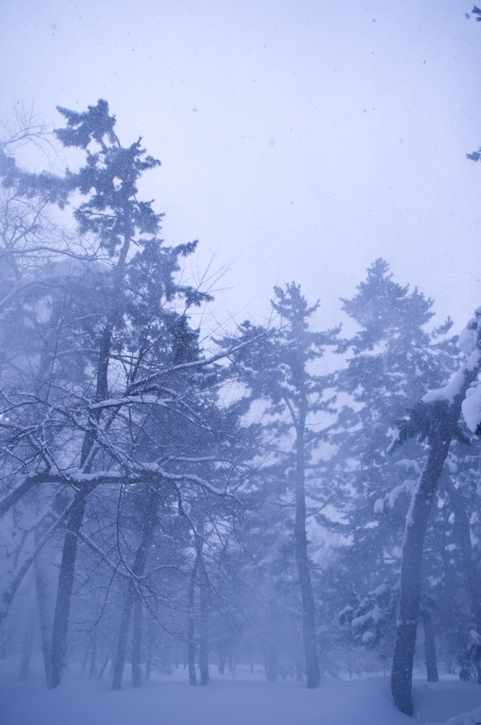 地吹雪