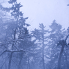 地吹雪