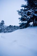 雪原