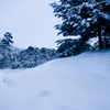 雪原