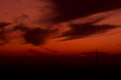 武蔵野夕景