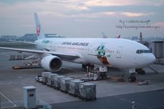 飛行機