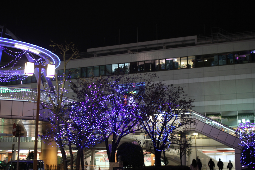 イルミネーション＾＾