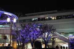 イルミネーション＾＾