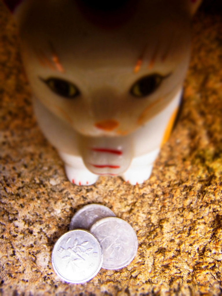 拝み猫さま
