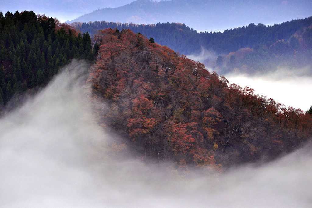 小入谷三十六景