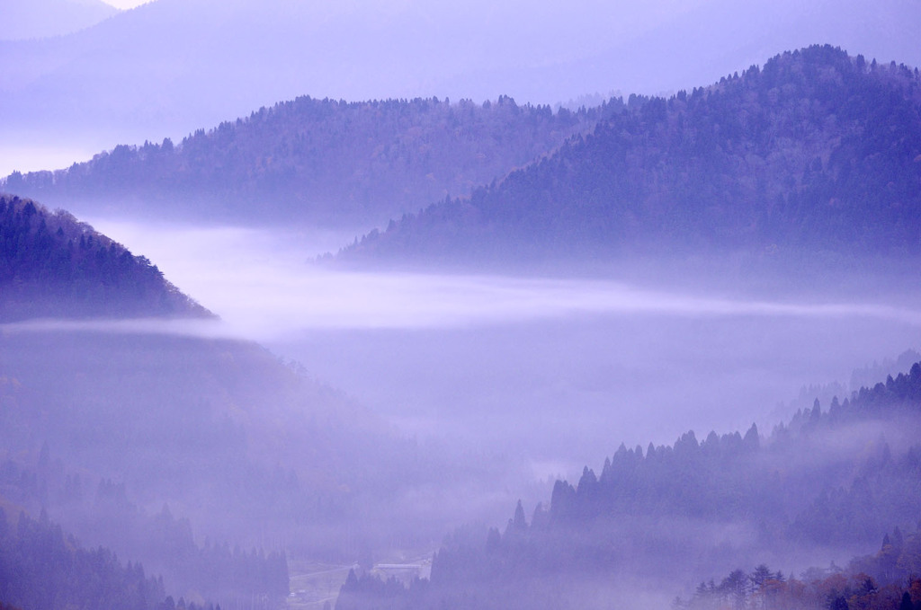 冠雲