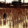 Worker