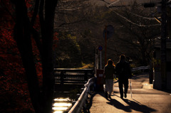 冬の散歩道