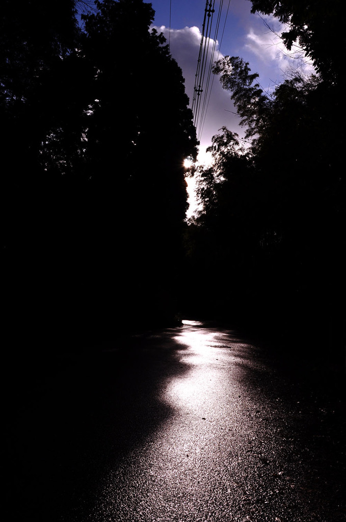 雨の道筋