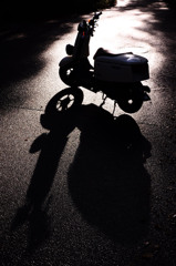 Shadow Play autumn