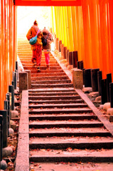 In To The Red World