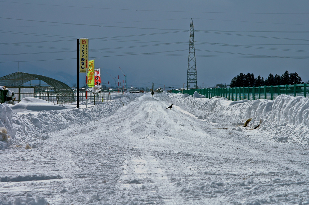 雪道