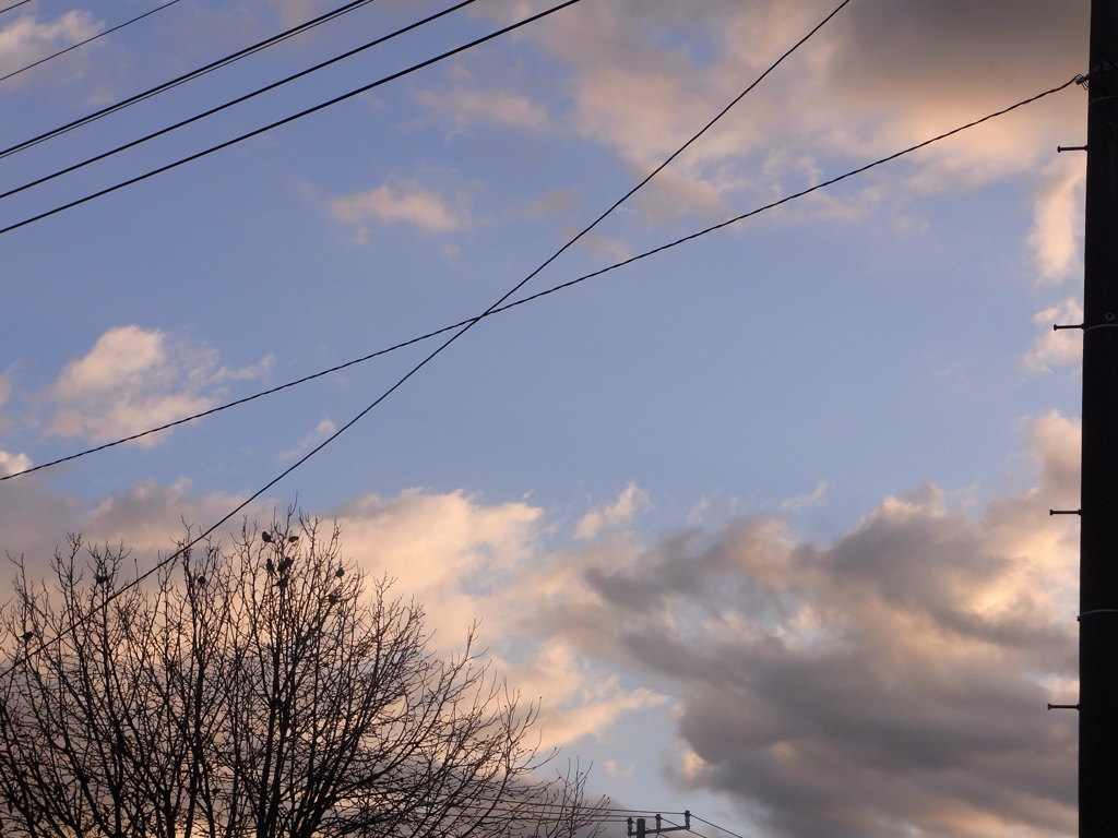 2012.1,2622 302