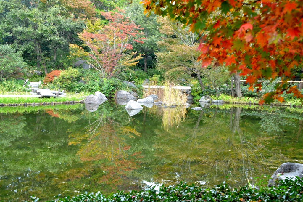 日本庭園の池にて