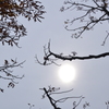 寒空と太陽