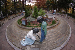 公園での一コマ