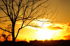 夕日