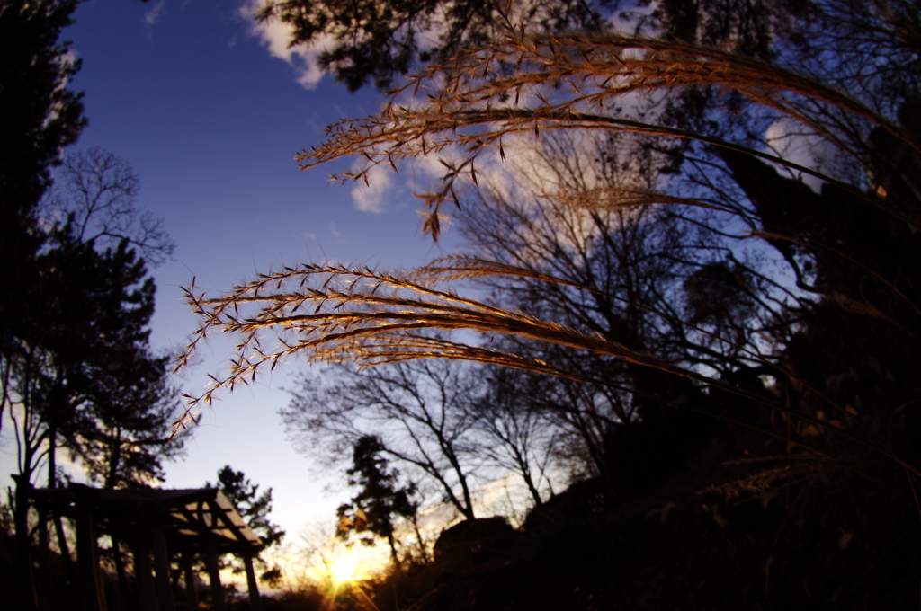冬空