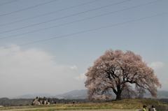 春と人