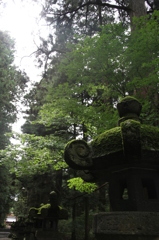 静かな光