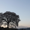 夕暮れ間近