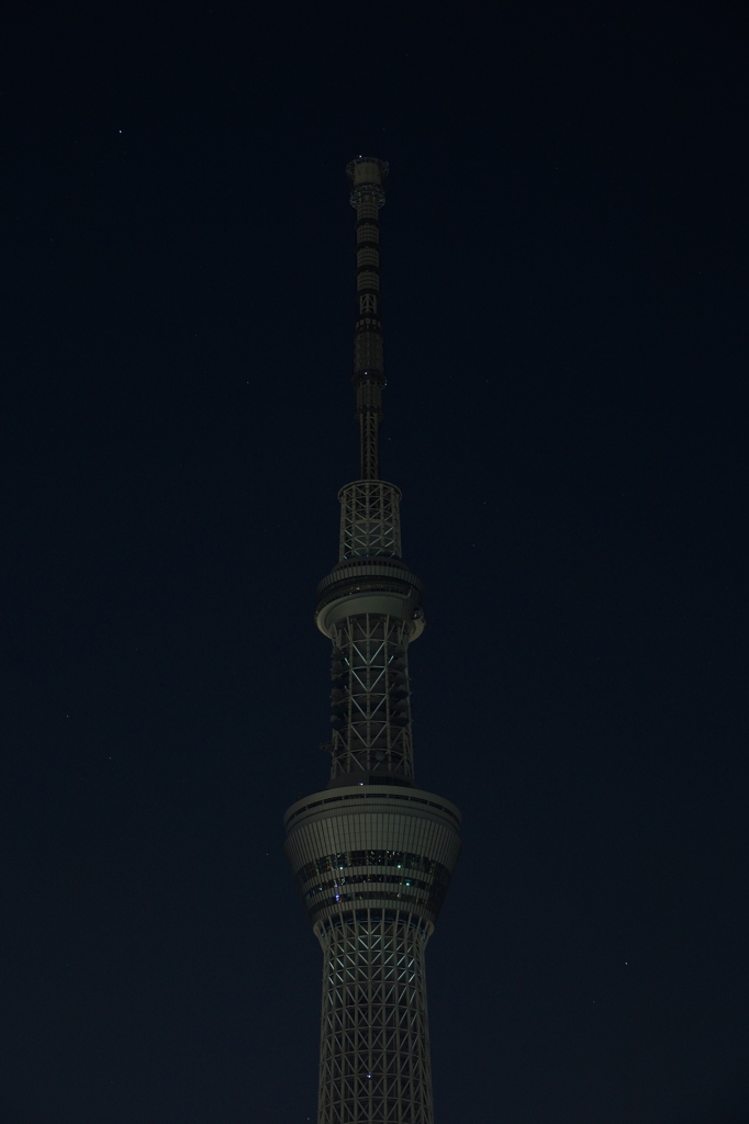 スカイツリー