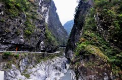 THE TAROKO