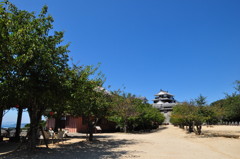 青、緑、城