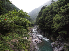 P7218014