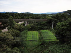 P7288636