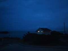 P8118939