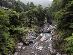 P7218013