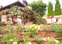 P6167223