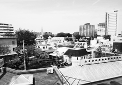 P4286428