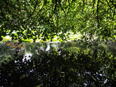 P7288432