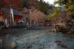 天川の紅葉
