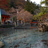 天川の紅葉