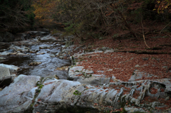 天川の紅葉