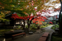 大門寺　紅葉