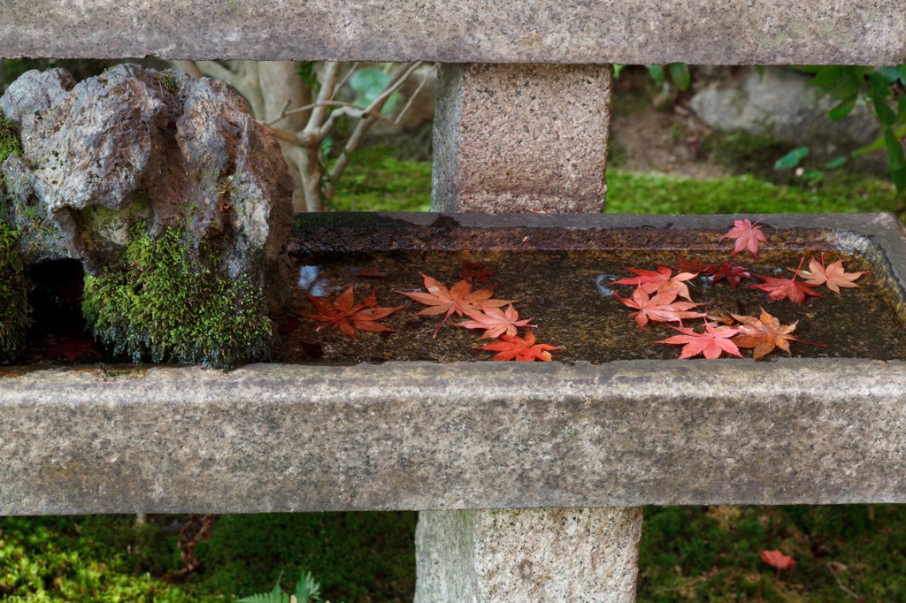 大門寺　紅葉