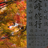 天川の紅葉
